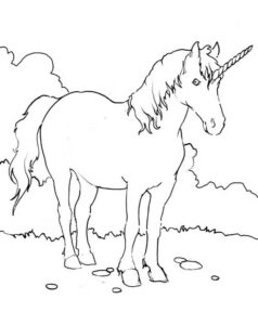 desenho de unicórnio em fazenda para imprimir e colorir