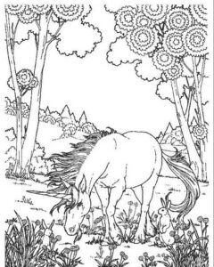 foto de unicornio na floresta para colorir de graça