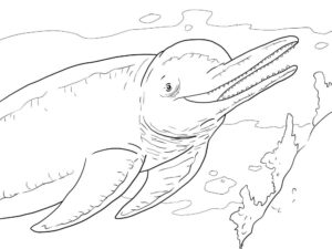 desenho de boto sorridente para imprimir e pintar