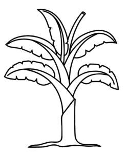 desenho de uma bananeira simples para colorir