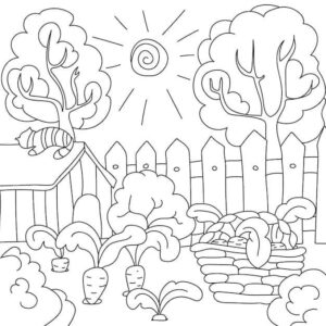 desenho de horta para crianças de 6 ano para colorir