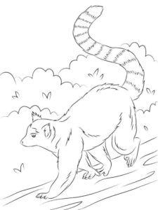 desenho de imagem do lemure para colorir e pintar gratuitamente