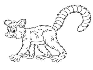 desenho de lêmure feliz para colorir
