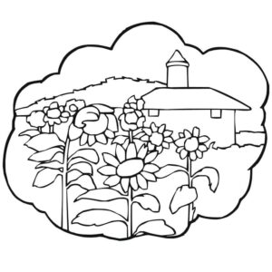 desenho de campo de girassol para colorir