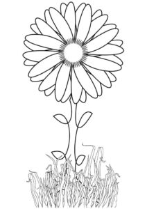 desenho de girassol grátis para crianças para colorir
