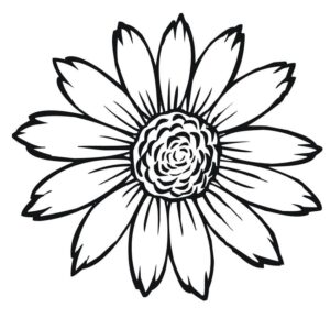 desenho de um girassol simples para colorir