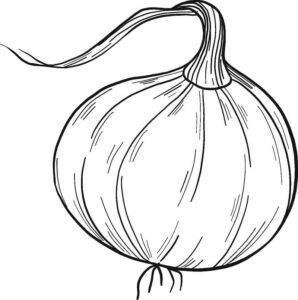 cebola para pintar