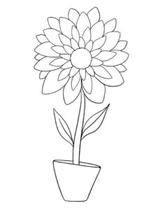 desenho dália para pintar e imprimir