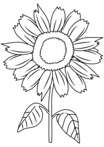 desenho de girassol para colorir