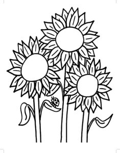 desenho de três girassóis para colorir com lápis de cor