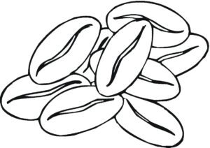 desenho feijão vegetal para colorir