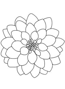 desenho flor dália para pintar grátis
