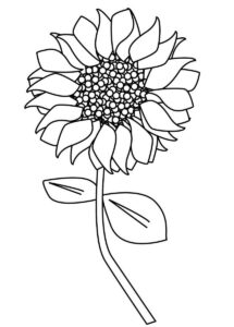 desenho girassol único para colorir