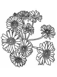 desenho lindos girassóis para colorir