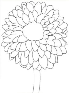 desenho para imprimir flor dália