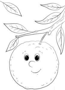desenho para imprimir fruta laranja em pdf