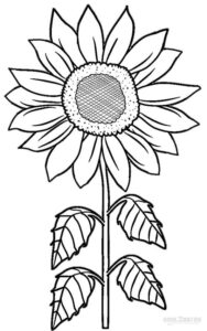 girassol desenho