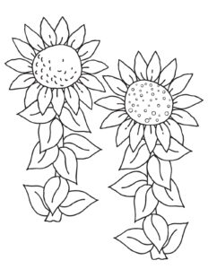 girassol para colorir em pdf