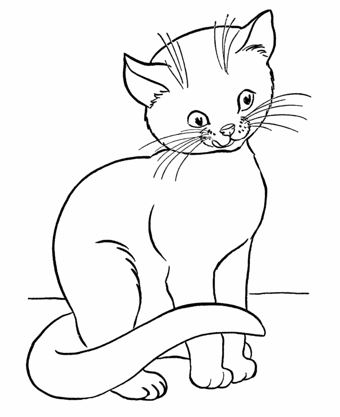 desenhos de gatos para colorir