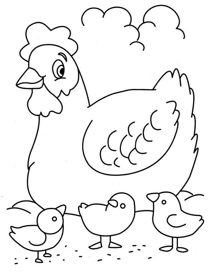 Galinhas para Colorir