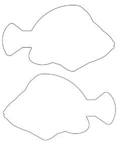 molde de peixinho