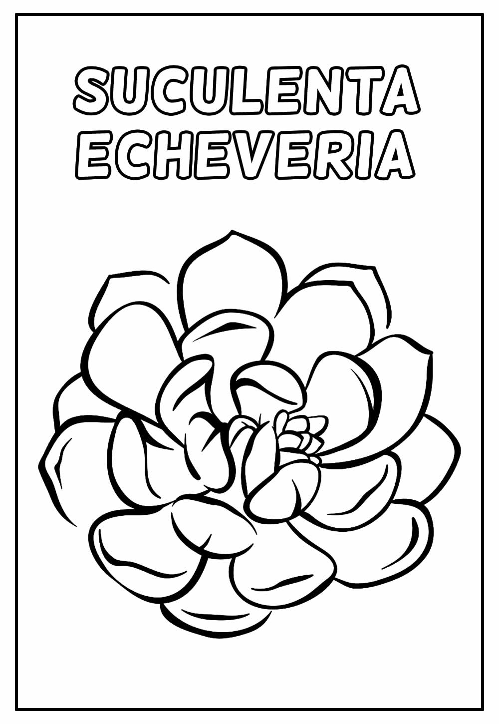 Suculenta Echeveria para Colorir