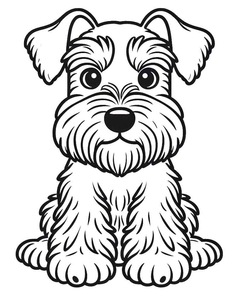 Schnauzer para Colorir