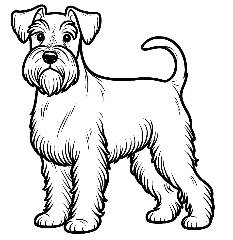 desenhos para colorir Schnauzer