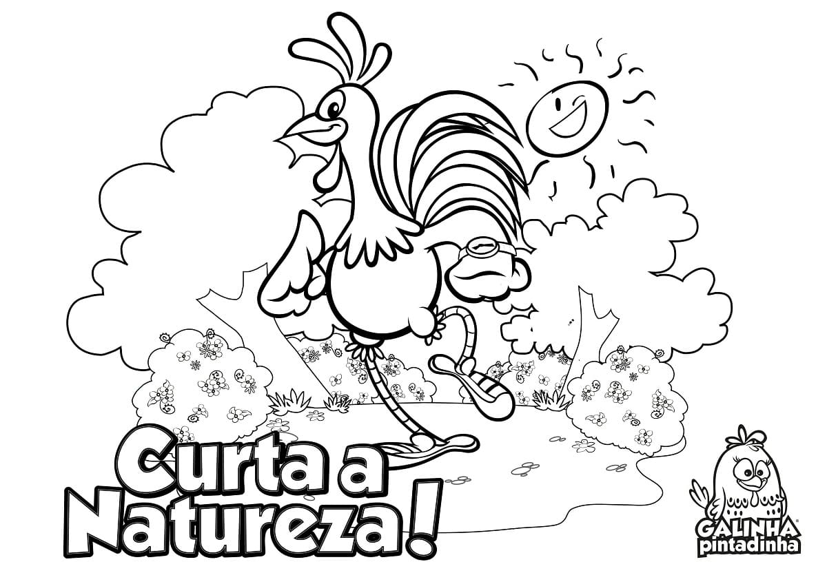 desenho galo carijo da galinha pintadinha engraçado para colorir