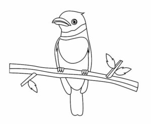 desenho de passarinho na arvore para colorir