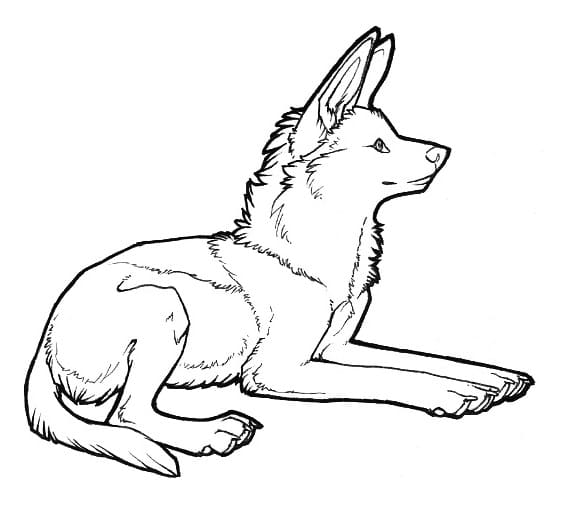 desenho de foto de lobo guará para pintar