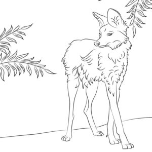 desenho de lobo guara imprimível para colorir