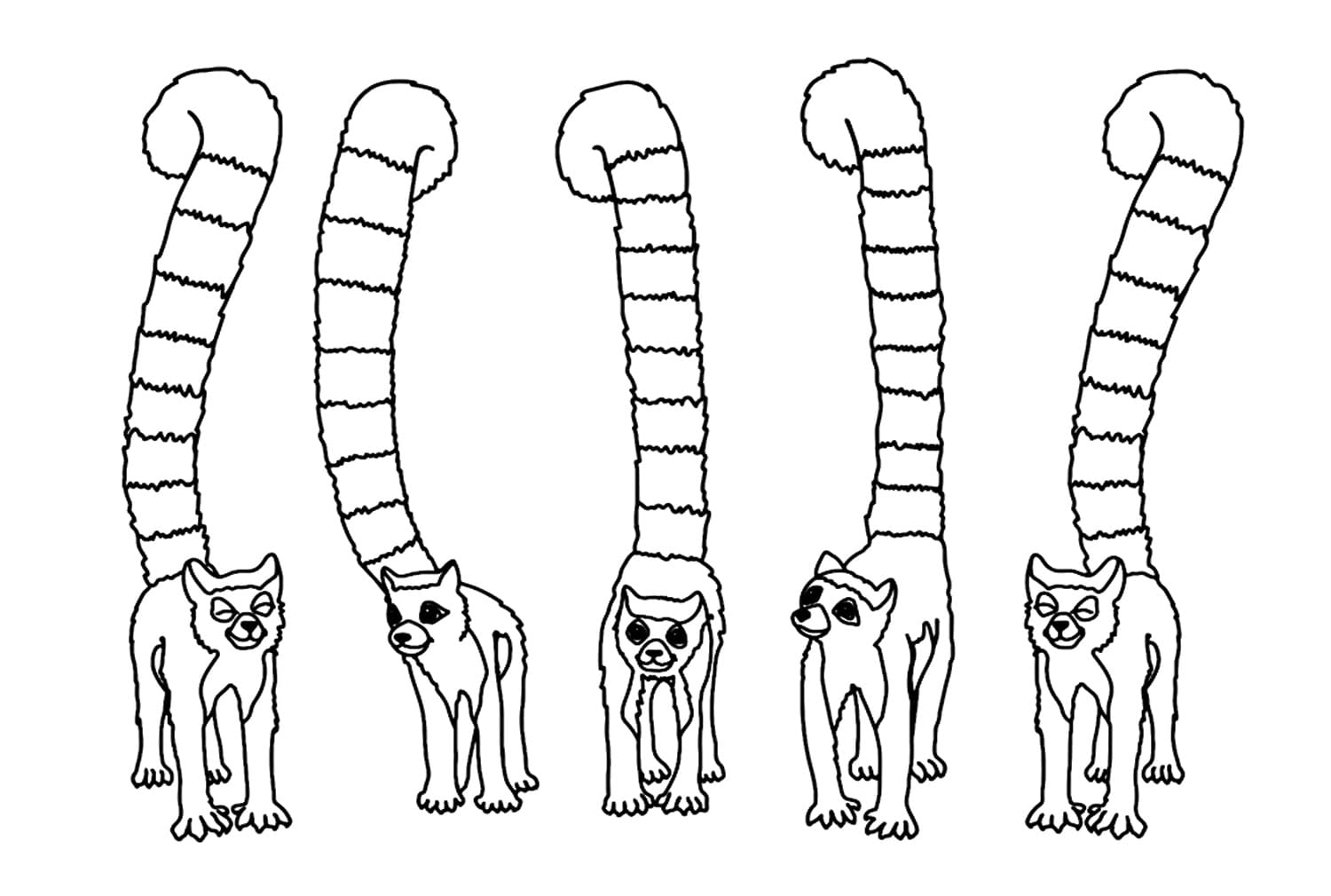 desenho de cinco lêmures para imprimir e colorir