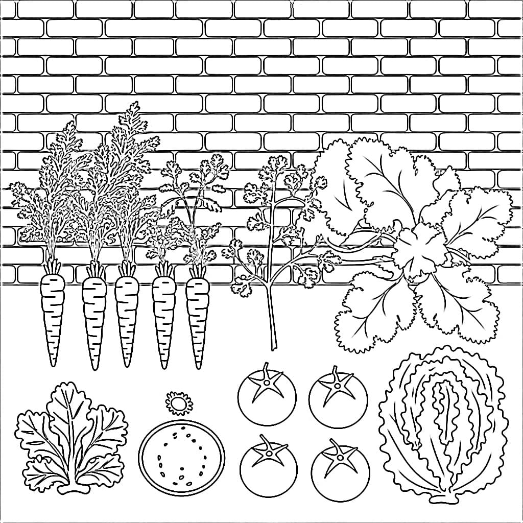 desenho de horta para crianças de 4 ano para colorir