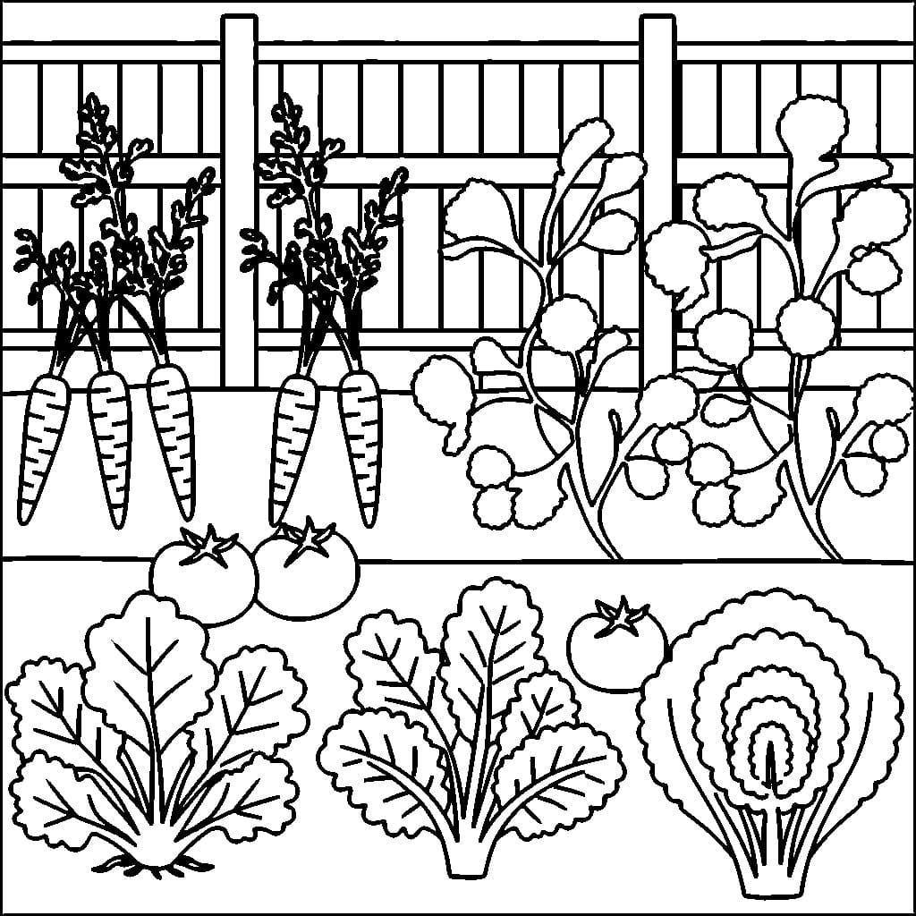 desenho de horta para crianças de 5 ano para colorir