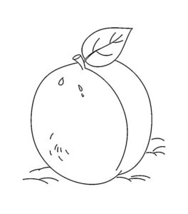desenho de ameixa grátis para crianças para colorir