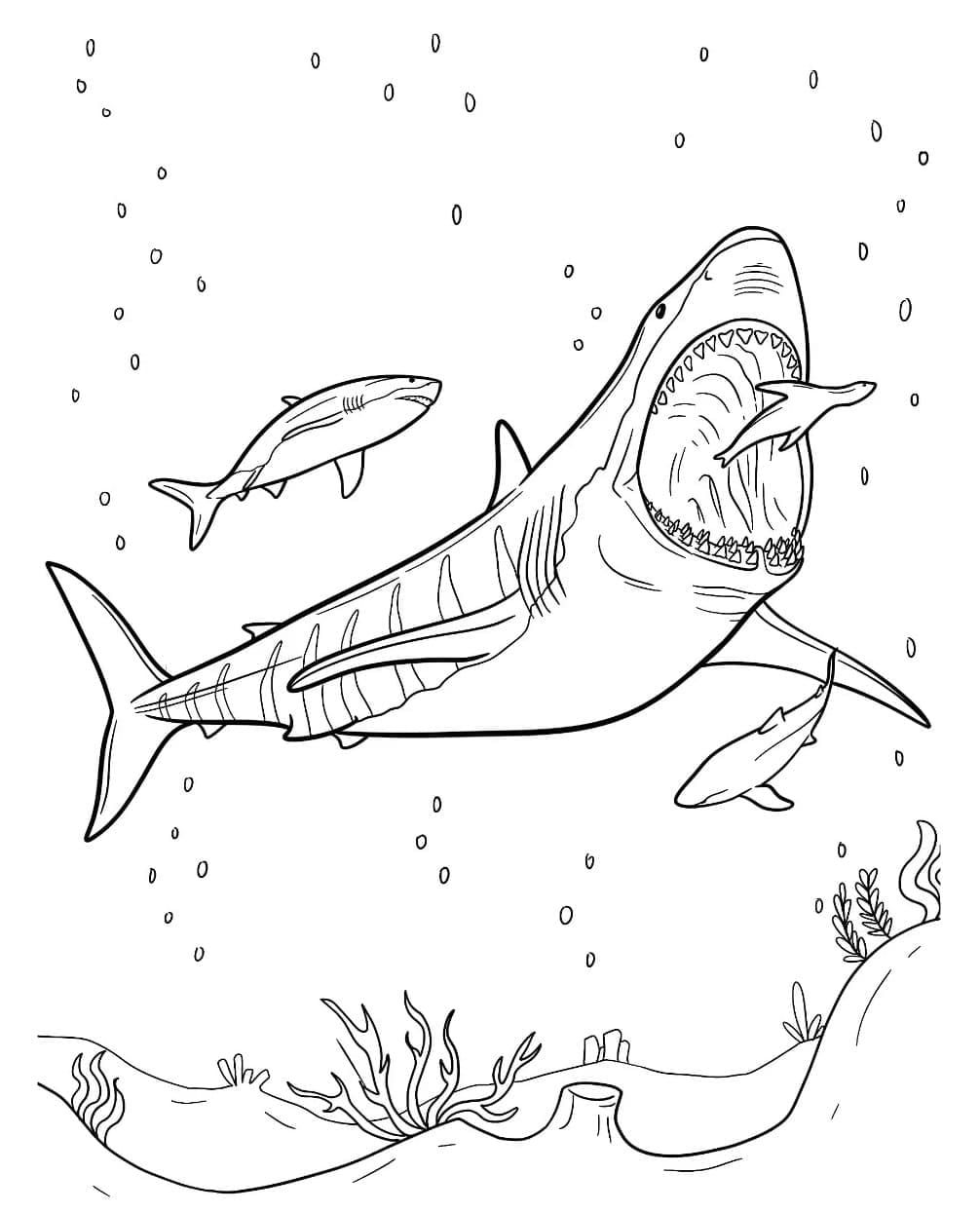 desenho de foto de megalodon para pintar pdf