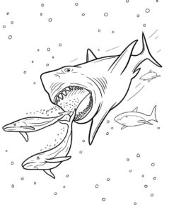 desenho de megalodon assustador para imprimir e colorir