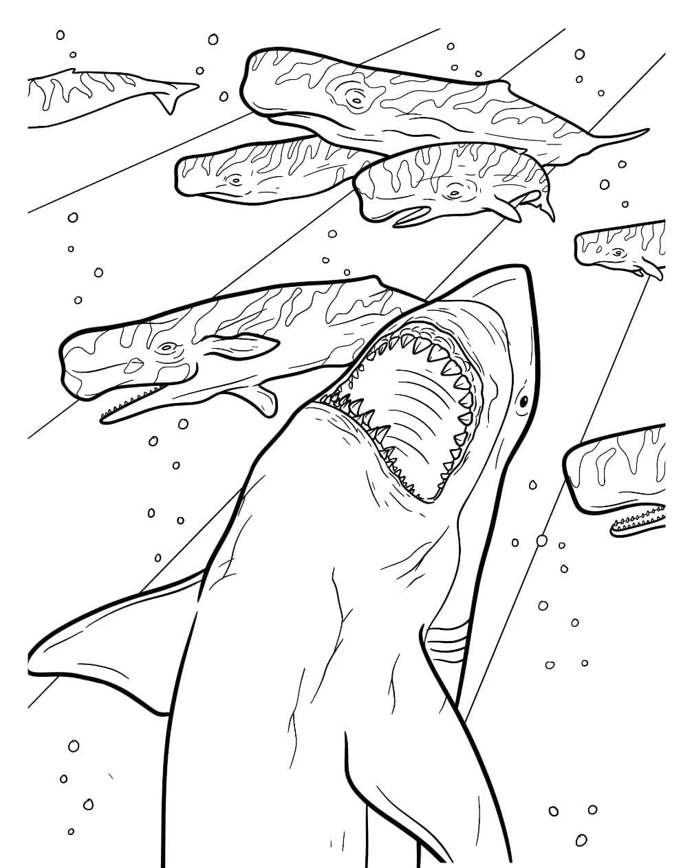 desenho de megalodon imprimível grátis para colorir