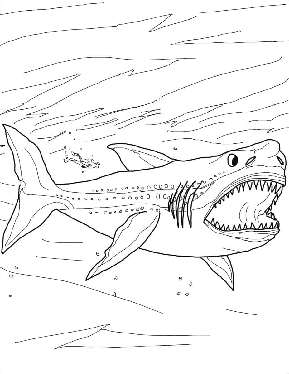 desenho pintura de megalodon para colorir grátis