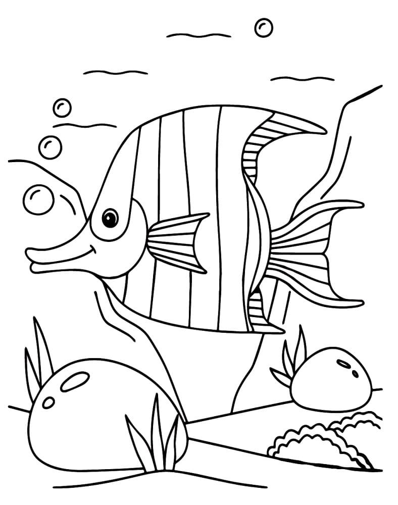 desenho de peixe anjo bonito para pintar e imprimir