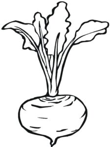 beterraba para colorir