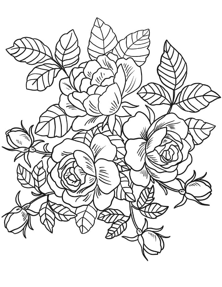 buquê de flores delicadas para imprimir e colorir