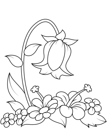 campânula para colorir