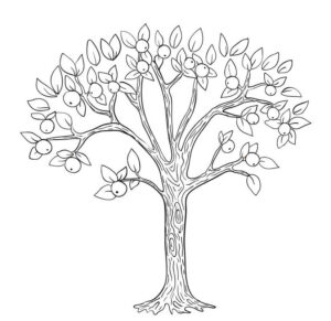 desenho árvore de macieira para colorir