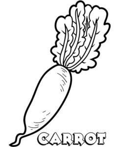 desenho cenoura normal para colorir e pintar
