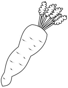 desenho cenoura simples para colorir