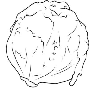 desenho de alface livro para colorir