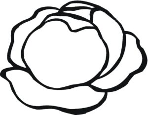 desenho de alface simples para colorir