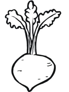 desenho de beterraba grátis para colorir